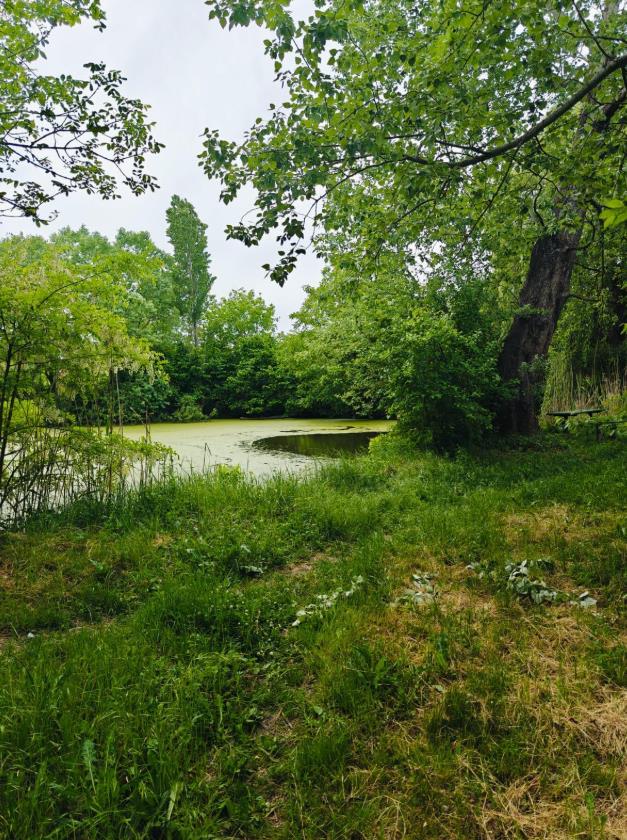 Фото №1: Коммерция 9 м² - 40-летия Советской Армии и Военно-Морского Флота, ул. Вишнёвая