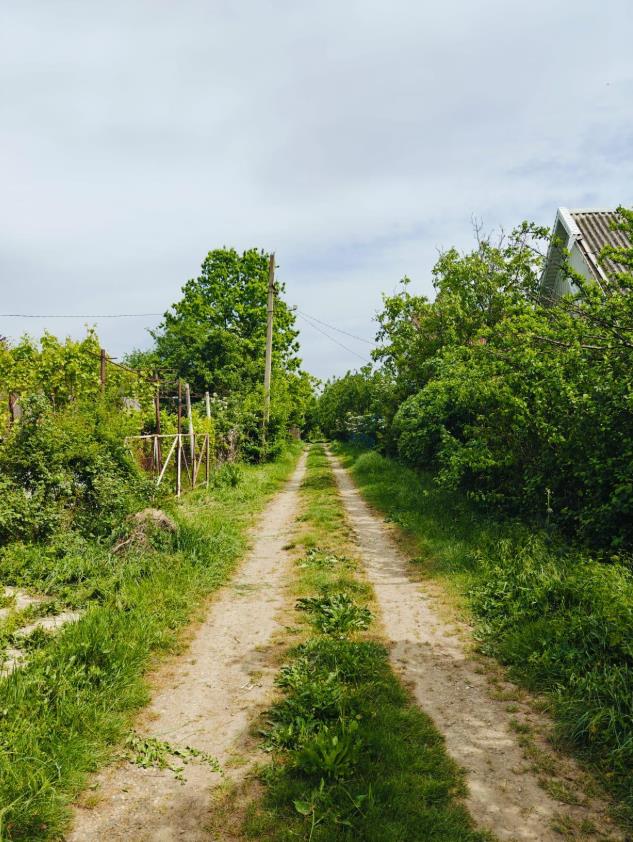 Фото №2: Коммерция 9 м² - 40-летия Советской Армии и Военно-Морского Флота, ул. Вишнёвая