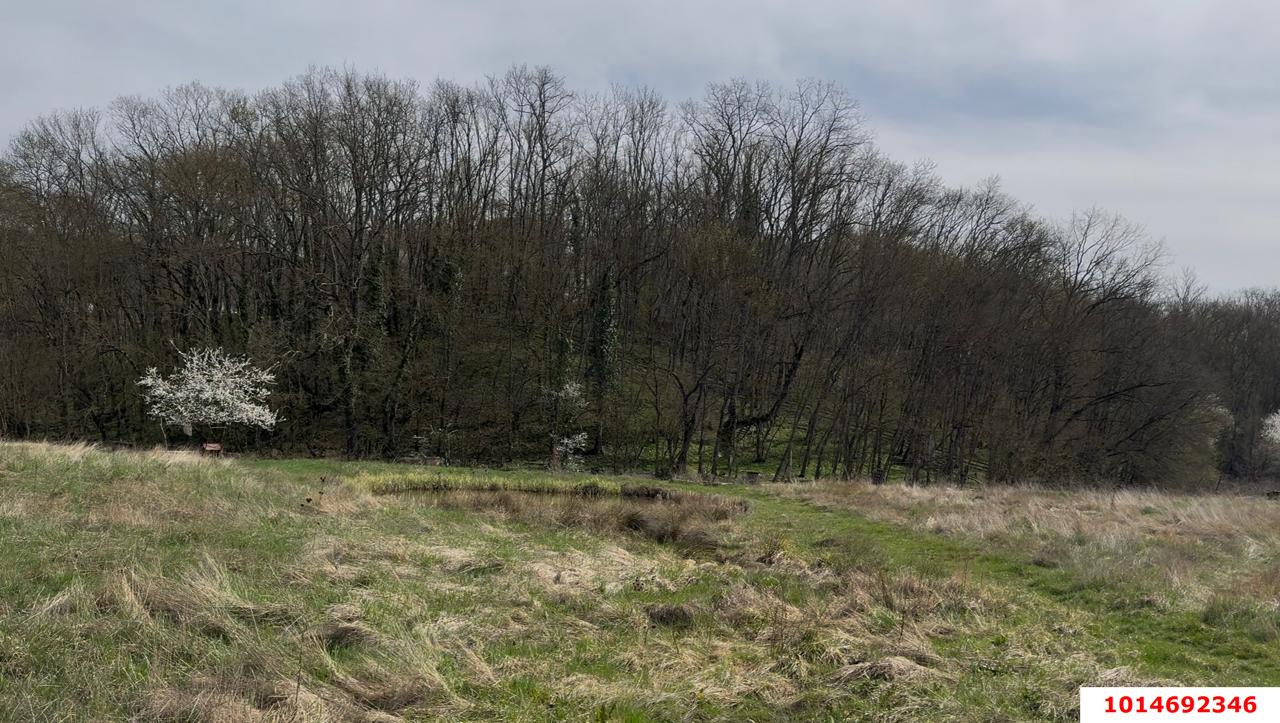 Фото №3: Земельный участок под ИЖС 38 сот. - Ставропольская, ул. Славянская, 2А