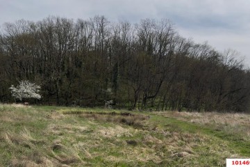 Фото №3: Земельный участок под ИЖС 38 сот. - Ставропольская, ул. Славянская, 2А