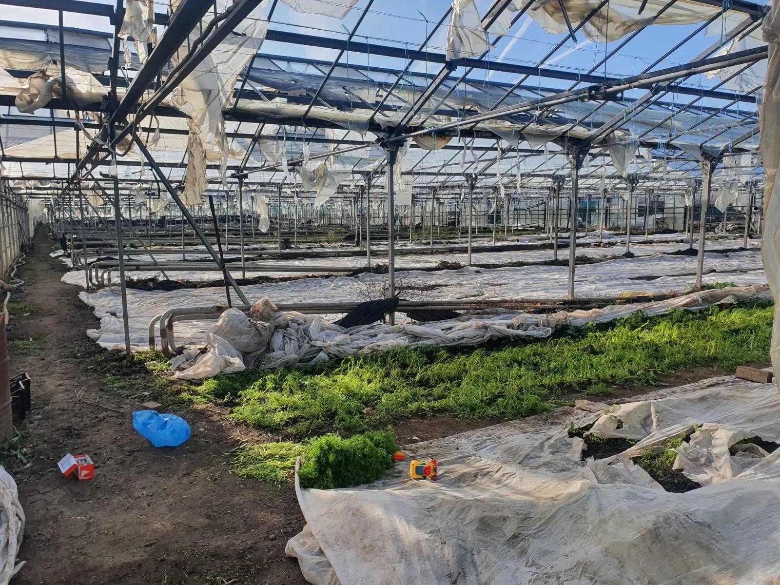 Фото №4: Коммерция 101 м² - Суворовское, ул. Красная, 4