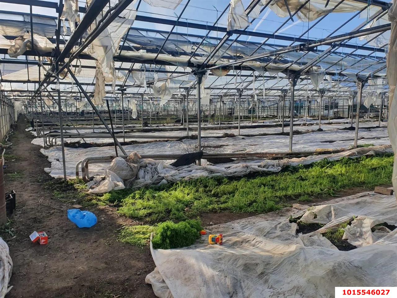 Фото №4: Личное подсобное хозяйство 101 сот. - Суворовское, ул. Красная, 4