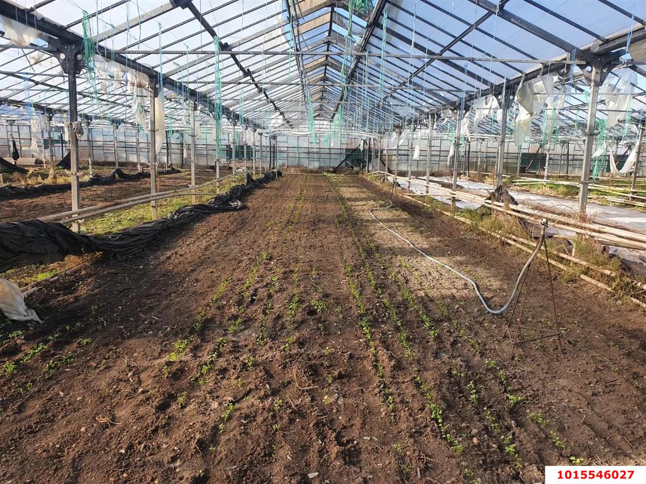 Фото №3: Личное подсобное хозяйство 101 сот. - Суворовское, ул. Красная, 4