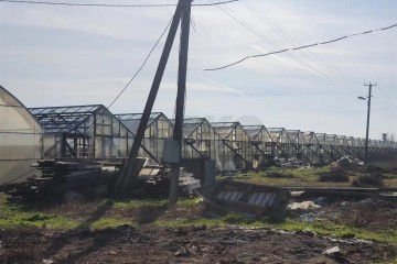 Фото №2: Личное подсобное хозяйство 101 сот. - Суворовское, ул. Красная, 4