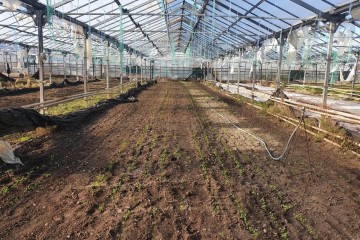 Фото №3: Личное подсобное хозяйство 101 сот. - Суворовское, ул. Красная, 4