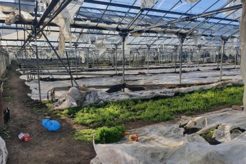 Фото №4: Личное подсобное хозяйство 101 сот. - Суворовское, ул. Красная, 4