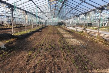 Фото №3: Коммерция 101 м² - Суворовское, ул. Красная, 4