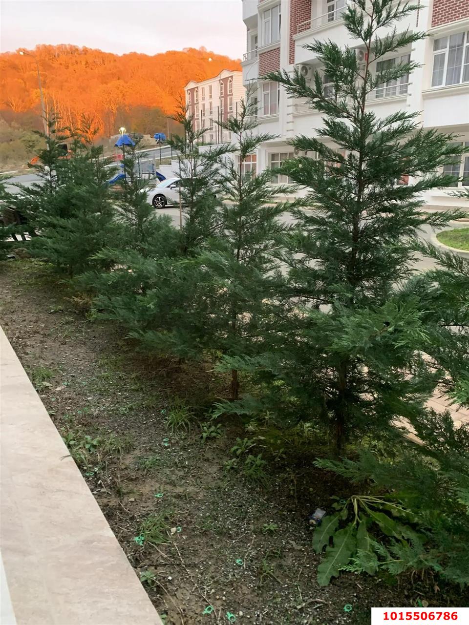 Фото №11: Студия 25 м² - Сочи, жилой комплекс Курортный, ул. Ленина, 290/7к5