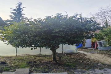 Фото №3: Дом 71 м² - Верхнениколаевское, р. Адлерский, ул. Мостовая