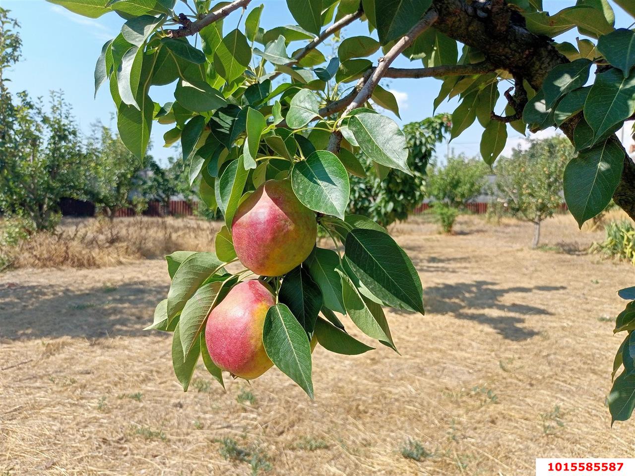 Фото №12: Дом 91 м² + 15.83 сот. - Водный, ул. Мира, 3