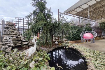 Фото №5: Дом 122 м² - Елизаветинская, ст Каравай, ул. Садовая, 50