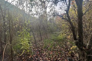 Фото №2: Земельный участок 5.5 сот. - Юбилейное, мкр. Прикубанский внутригородской округ, ул. Центральная