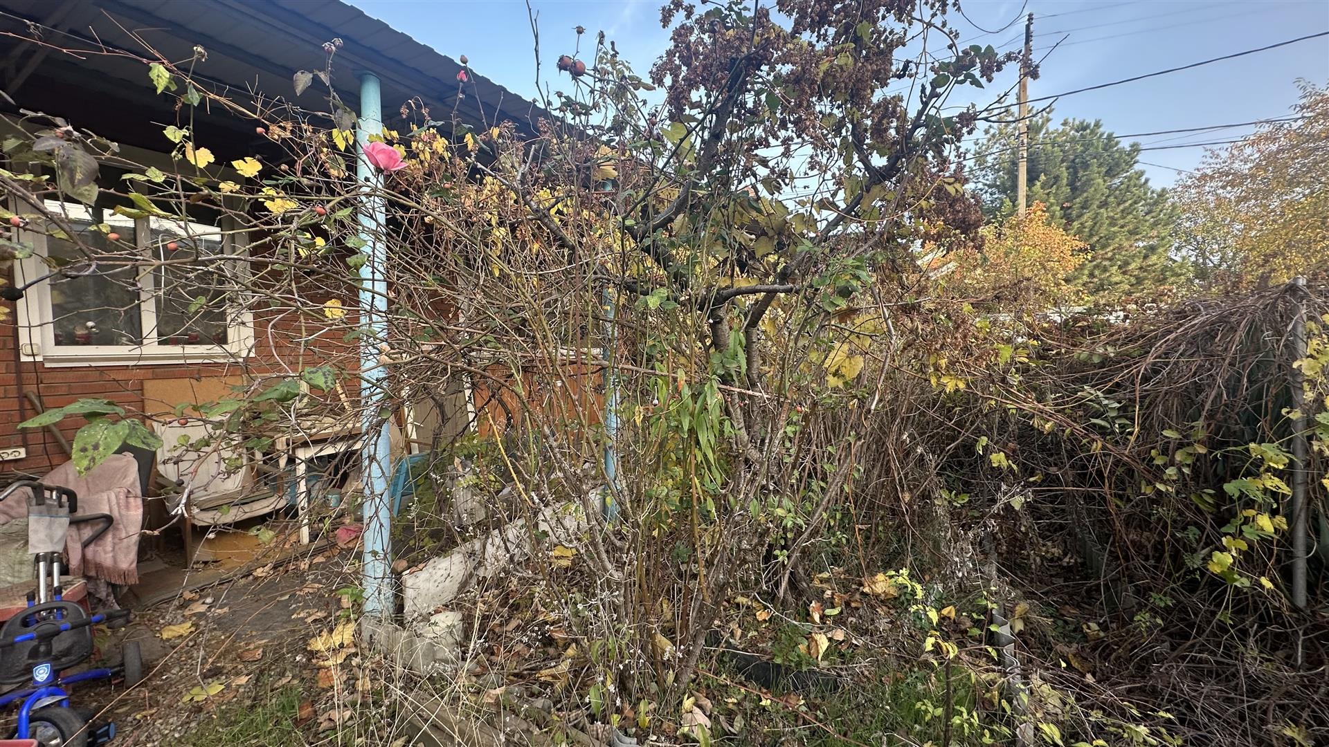 Фото №4: Земельный участок 5.5 сот. - Юбилейное, мкр. Прикубанский внутригородской округ, ул. Центральная