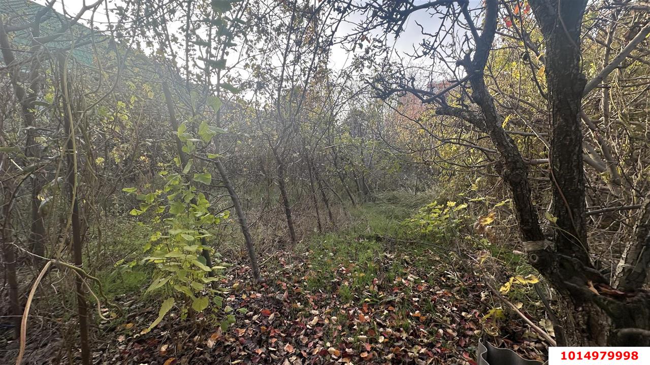 Фото №2: Земельный участок под ИЖС 5.5 сот. - Юбилейное, Прикубанский внутригородской округ, ул. Центральная