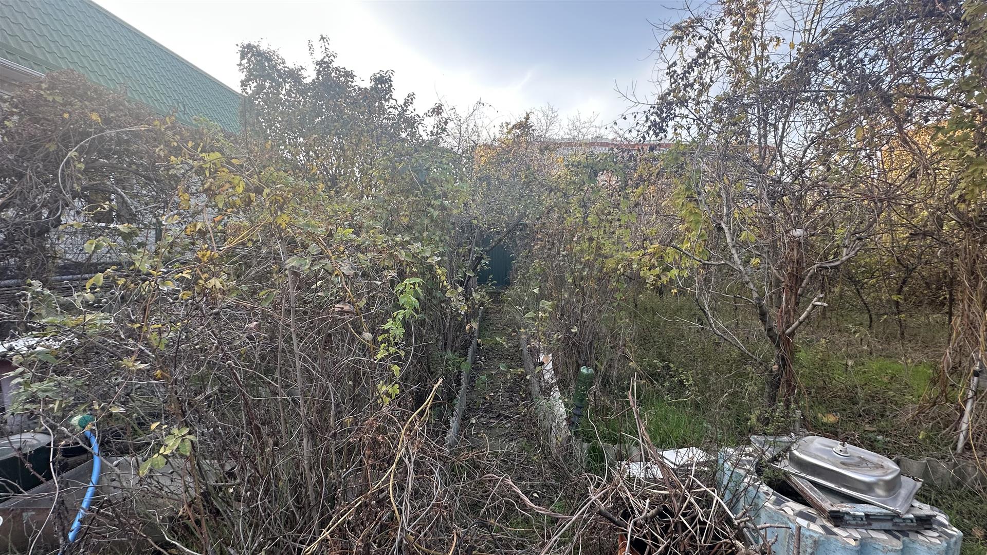 Фото №5: Земельный участок 5.5 сот. - Юбилейное, мкр. Прикубанский внутригородской округ, ул. Центральная