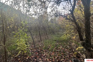 Фото №2: Земельный участок под ИЖС 5.5 сот. - Юбилейное, мкр. Прикубанский внутригородской округ, ул. Центральная