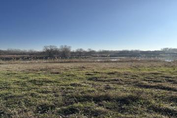 Фото №3: Коммерция 10 м² - СНТ Чистые Пруды, ул. Озёрная, 43