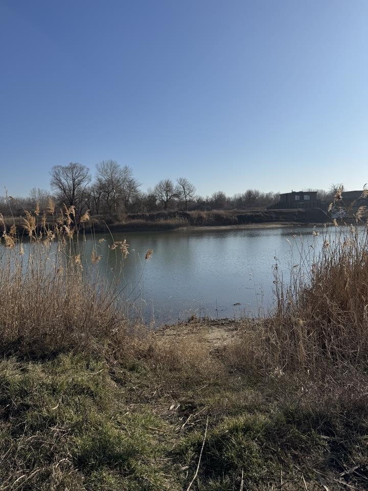 Фото №5: Коммерция 10 м² - СНТ Чистые Пруды, ул. Озёрная, 43