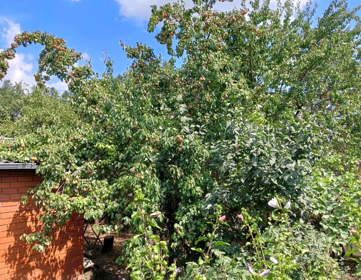 Фото №9: Дом 89 м² + 9.56 сот. - Воронежская, ул. Комсомольская