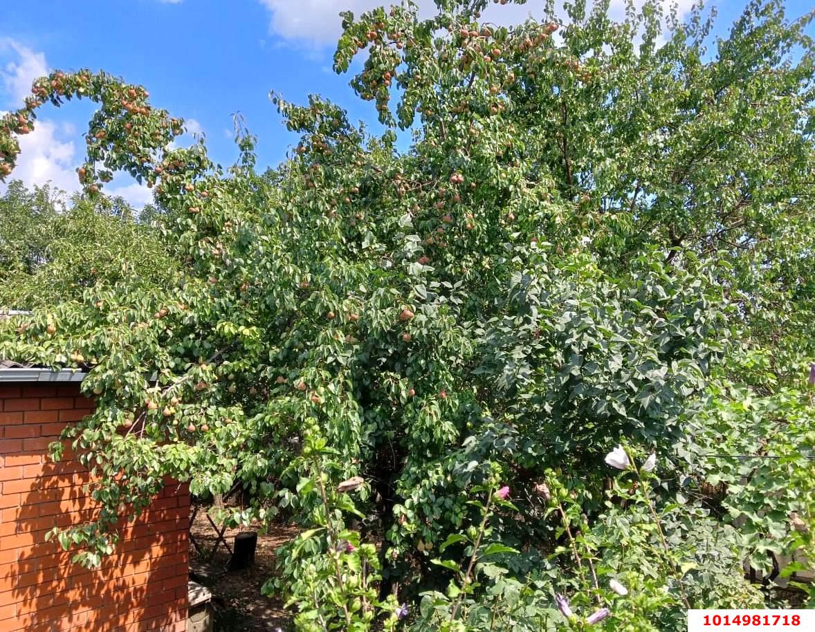 Фото №9: Дом 89 м² + 9.56 сот. - Воронежская, ул. Комсомольская