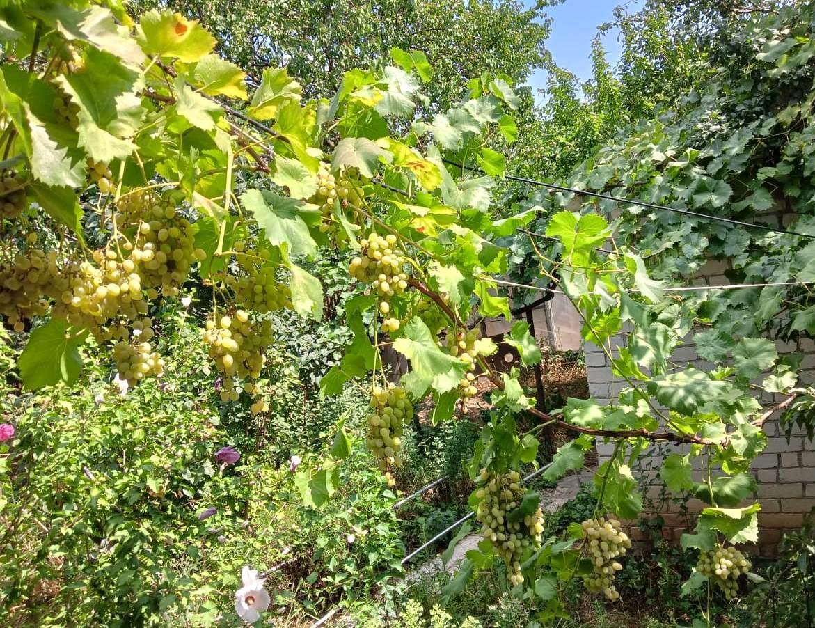 Фото №10: Дом 89 м² + 9.56 сот. - Воронежская, ул. Комсомольская