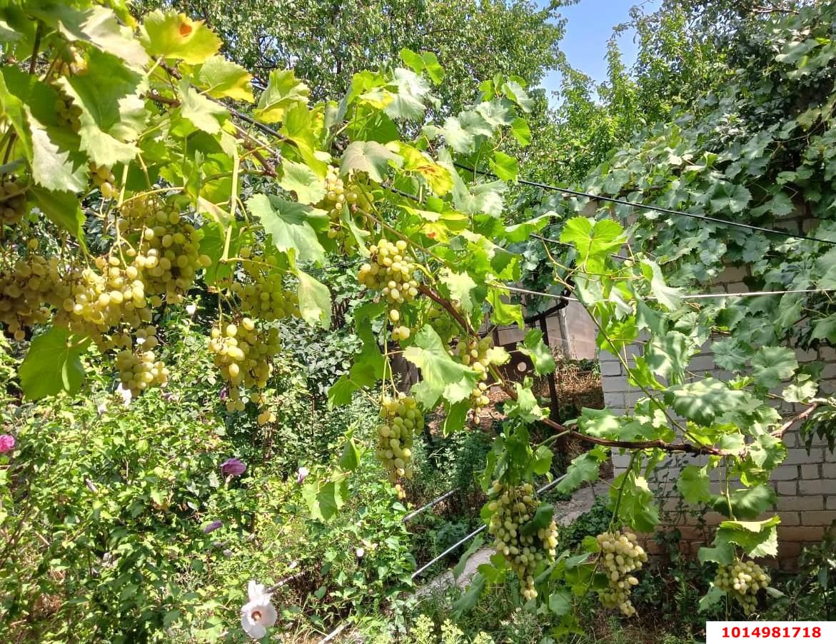 Фото №10: Дом 89 м² + 9.56 сот. - Воронежская, ул. Комсомольская