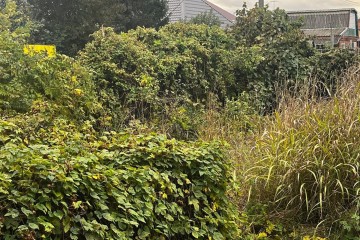 Фото №2: Участок садоводство 4.06 сот. - Краснодаргорстрой, мкр. Прикубанский внутригородской округ, ул. 5-я Первомайская, 3