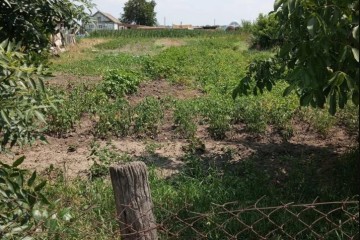 Фото №1: Земельный участок под ИЖС 10 сот. - Староджерелиевская, ул. Дружбы, 20