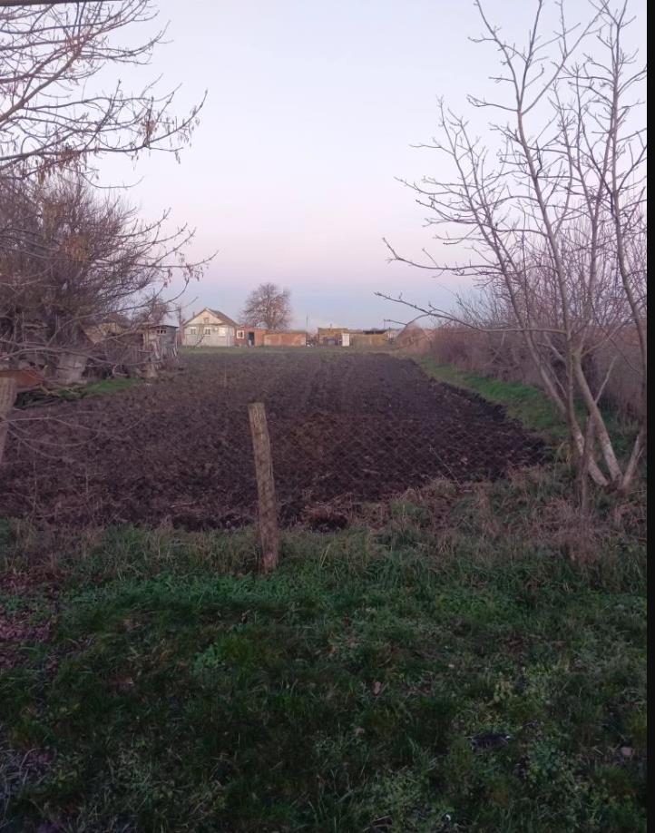 Фото №4: Земельный участок 10 сот. - Староджерелиевская, ул. Дружбы, 20