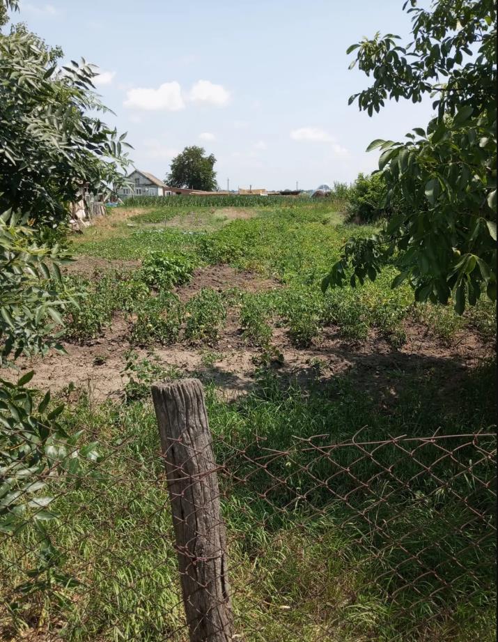 Фото №1: Земельный участок 10 сот. - Староджерелиевская, ул. Дружбы, 20