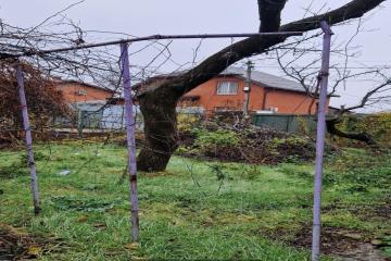 Фото №4: Земельный участок 5.89 сот. - № 7, мкр. Прикубанский внутригородской округ, ул. 4-я Линия, 19