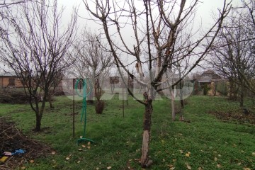 Фото №5: Земельный участок под ИЖС - Ольгинская, пер. 2-й, 8