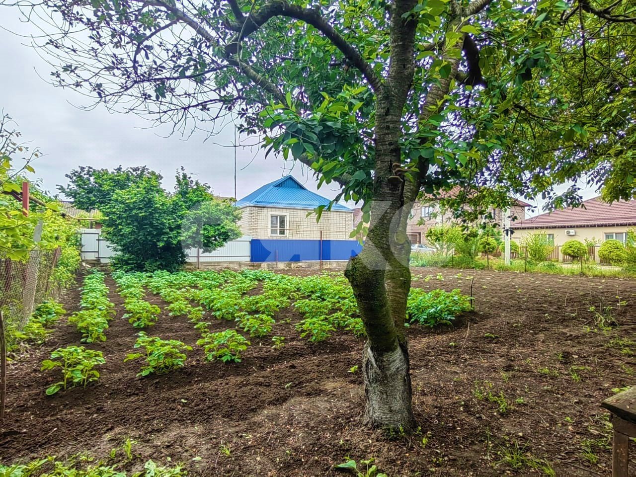 Фото №7: Дом 69 м² + 9.54 сот. - Джигинка, ул. Олимпийская