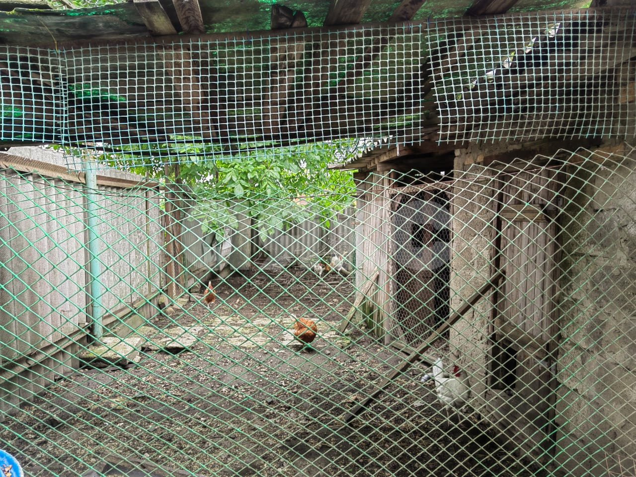 Фото №22: Дом 69 м² + 9.54 сот. - Джигинка, ул. Олимпийская