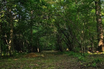 Фото №2: Земельный участок под ИЖС 10 сот. - Берёзовый, мкр. Прикубанский внутригородской округ, ул. Светлая, 28