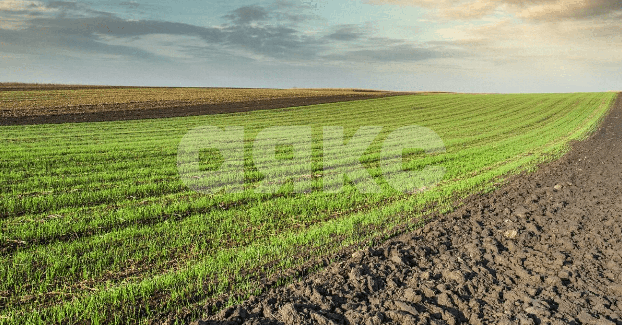 Фото №1: Коммерческая земля 5 сот. - Качкарское