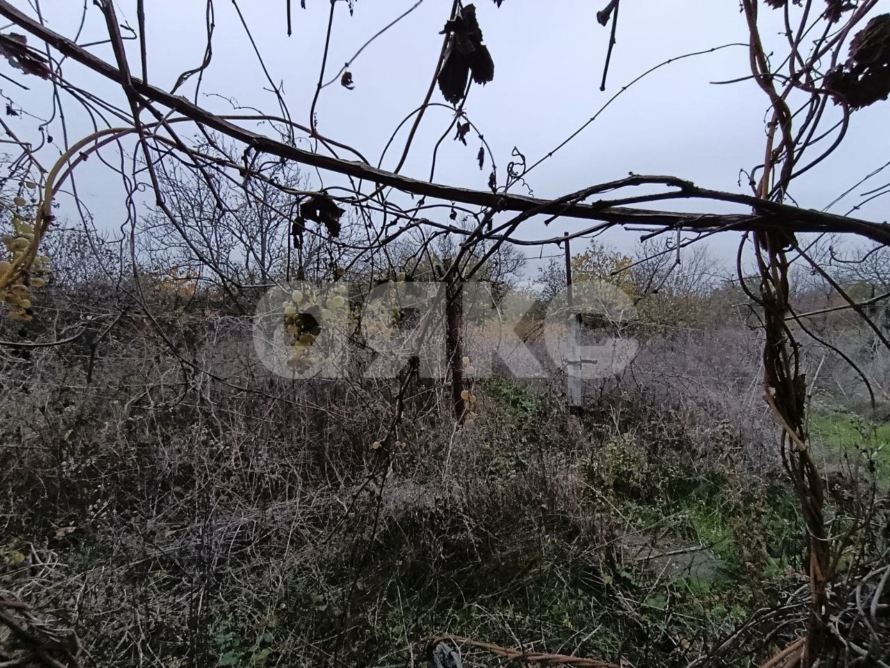 Фото №7: Участок садоводство 6 сот. - Мариуполь, Жовтневый, ул. Административная площадь