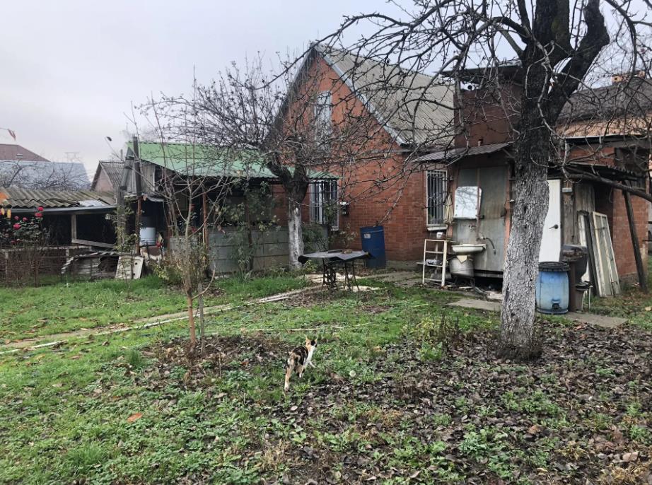 Фото №8: Дом 31 м² + 6 сот. - Краснодар, Прикубанский внутригородской округ, Сады Калинина, ст Лесник, ул. Цветочная, 95