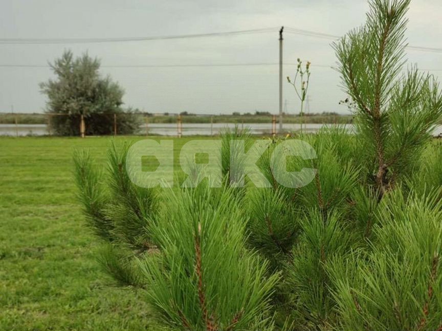 Фото №3: Земельный участок под ИЖС 6 сот. - Ольгинская, пер. 12-й