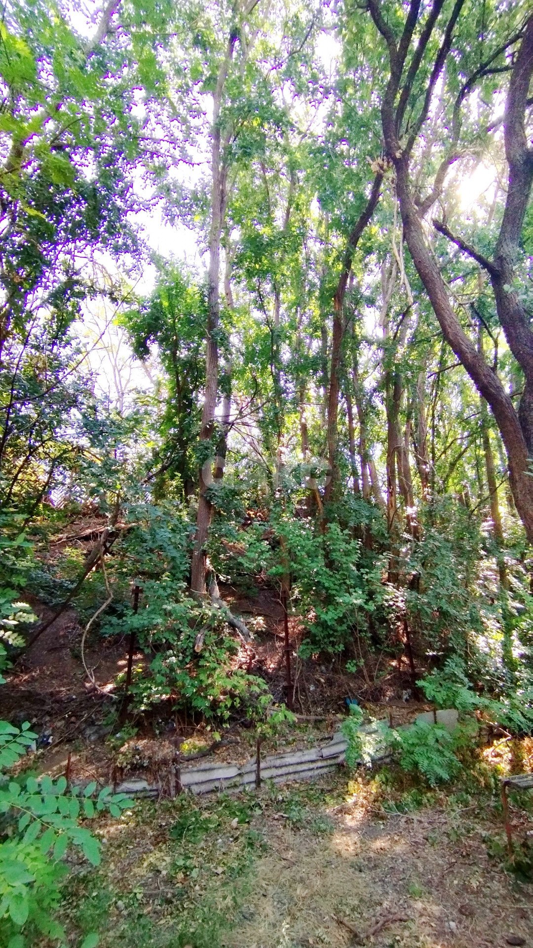 Фото №7: Земельный участок под ИЖС 7 сот. - Ростов-на-Дону, СТ Северный, пер. Клюквенный