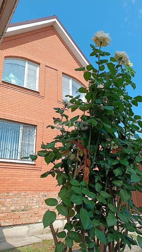 Фото №2: Дом 134 м² + 2.5 сот. - Ростов-на-Дону, Александровка, пер. Днепродзержинский, 51