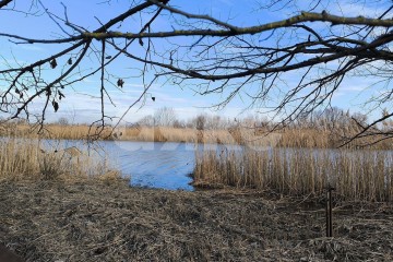 Фото №2: Земельный участок под ИЖС - Аксай, п. Берданосовка, ул. Лермонтова, 35