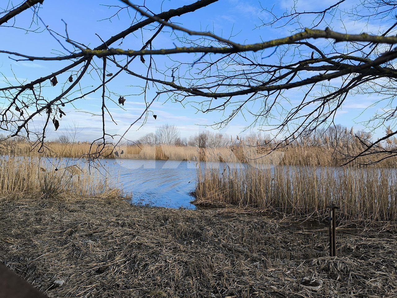 Фото №2: Земельный участок под ИЖС 7 сот. - Аксай, Берданосовка, ул. Лермонтова, 35