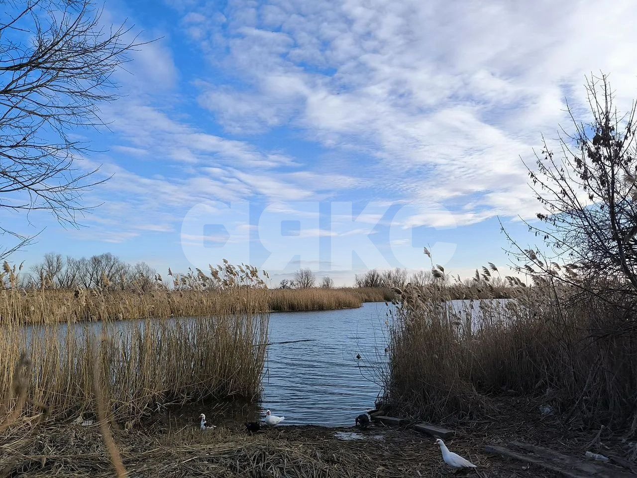 Фото №4: Земельный участок под ИЖС 7 сот. - Аксай, Берданосовка, ул. Лермонтова, 35