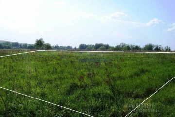 Фото №2: Участок садоводство 10 сот. - Елизаветинская, мкр. СТ Бригантина, ул. Берёзовая, 243