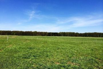 Фото №1: Земельный участок 10 сот. - Елизаветинская, мкр. СТ Бригантина, ул. Берёзовая, 243