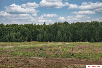 Фото №3: Участок садоводство 10 сот. - Елизаветинская, мкр. СТ Бригантина, ул. Берёзовая, 243