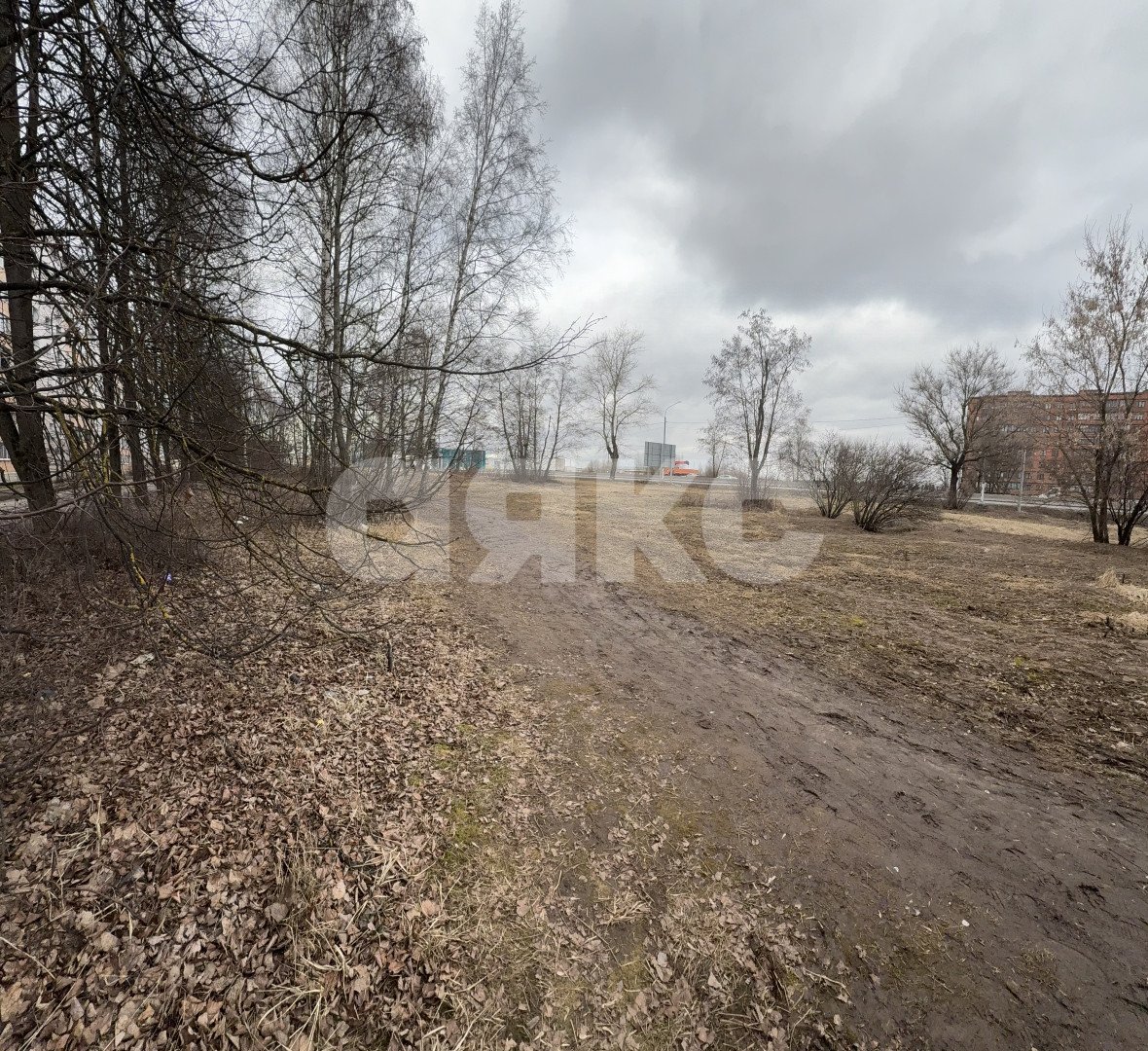 Фото №7: Коммерческая земля 40 сот. - Клин, п. Талицы, ул. Чайковского