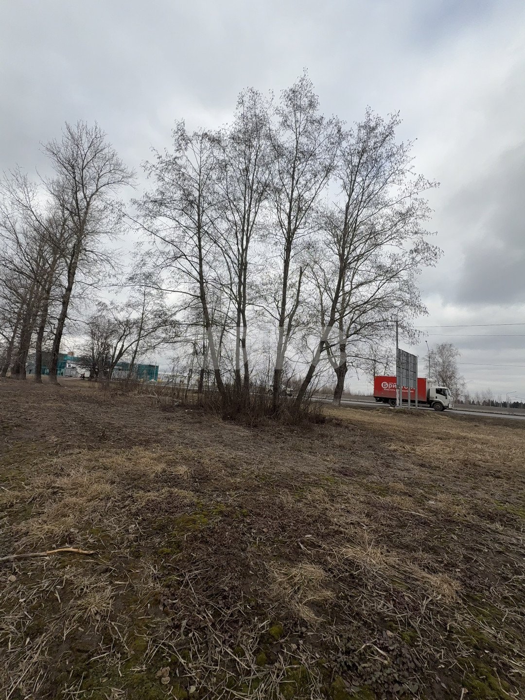 Фото №4: Коммерческая земля 40 сот. - Клин, п. Талицы, ул. Чайковского