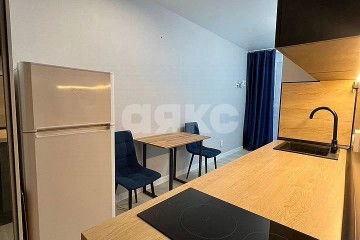 Фото №2: Студия 24 м² - Ростов-на-Дону, мкр. ЖК Пятый Элемент, пр-кт Солженицына, 13/2с2